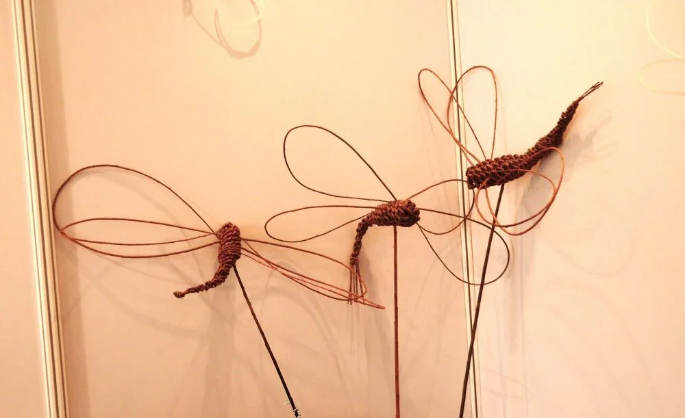 Willow Dragonfly evening workshop (Willow and Crafts)