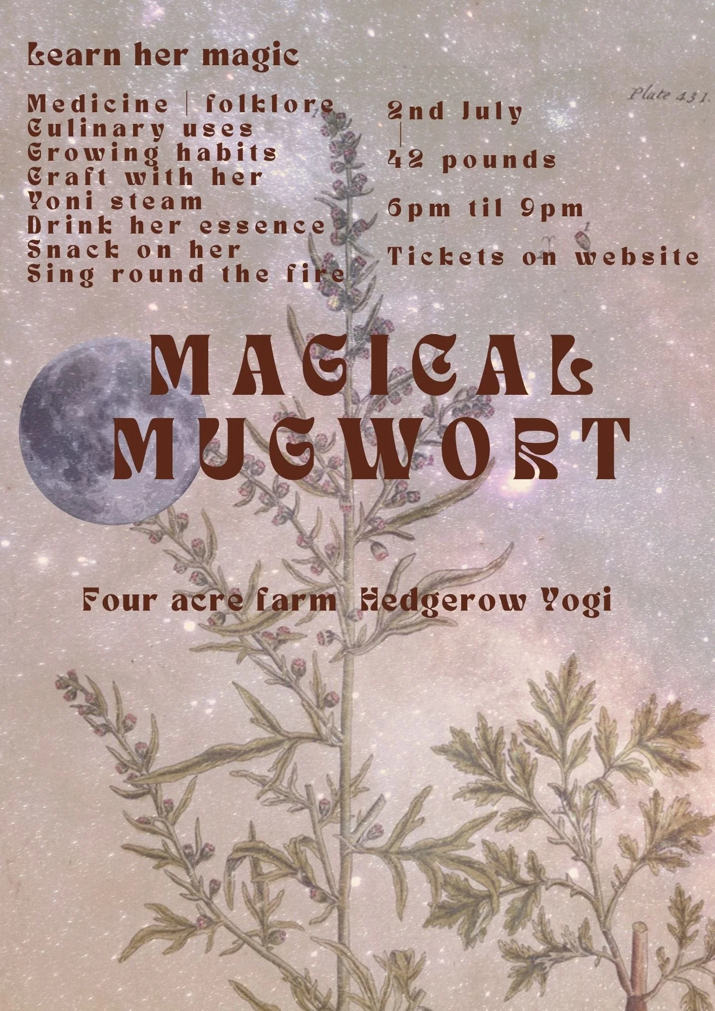 Mugwort Evening 