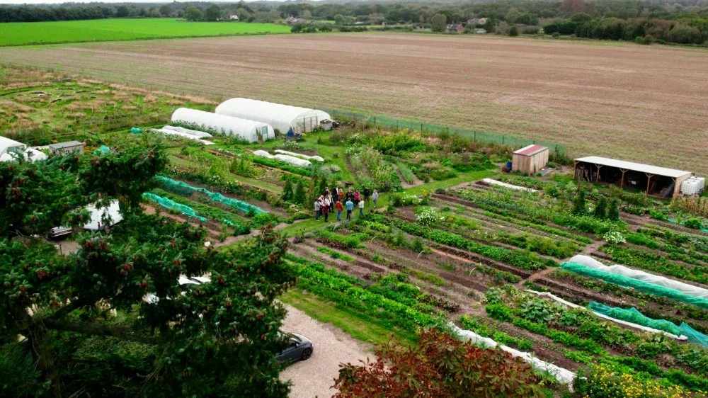 Four Acre from above