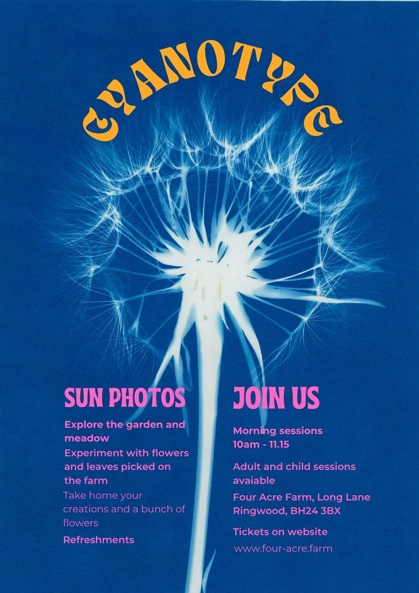 Cyanotype-2.jpg