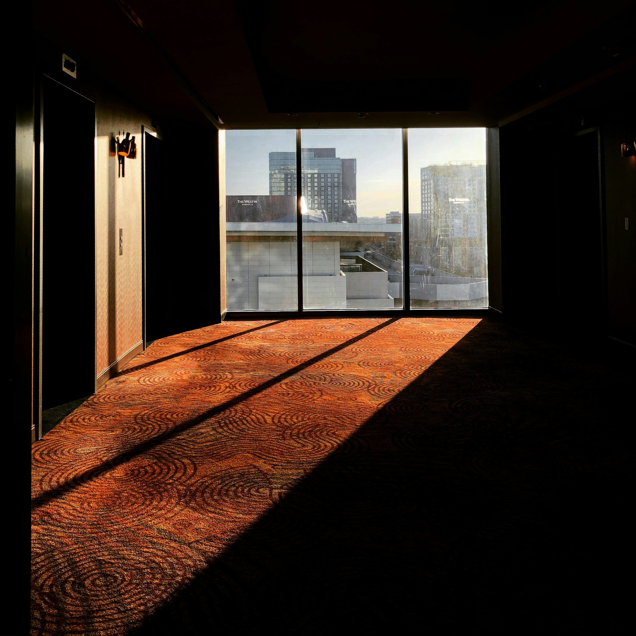 How to Choose the Right Carpet Cleaning Service Near You