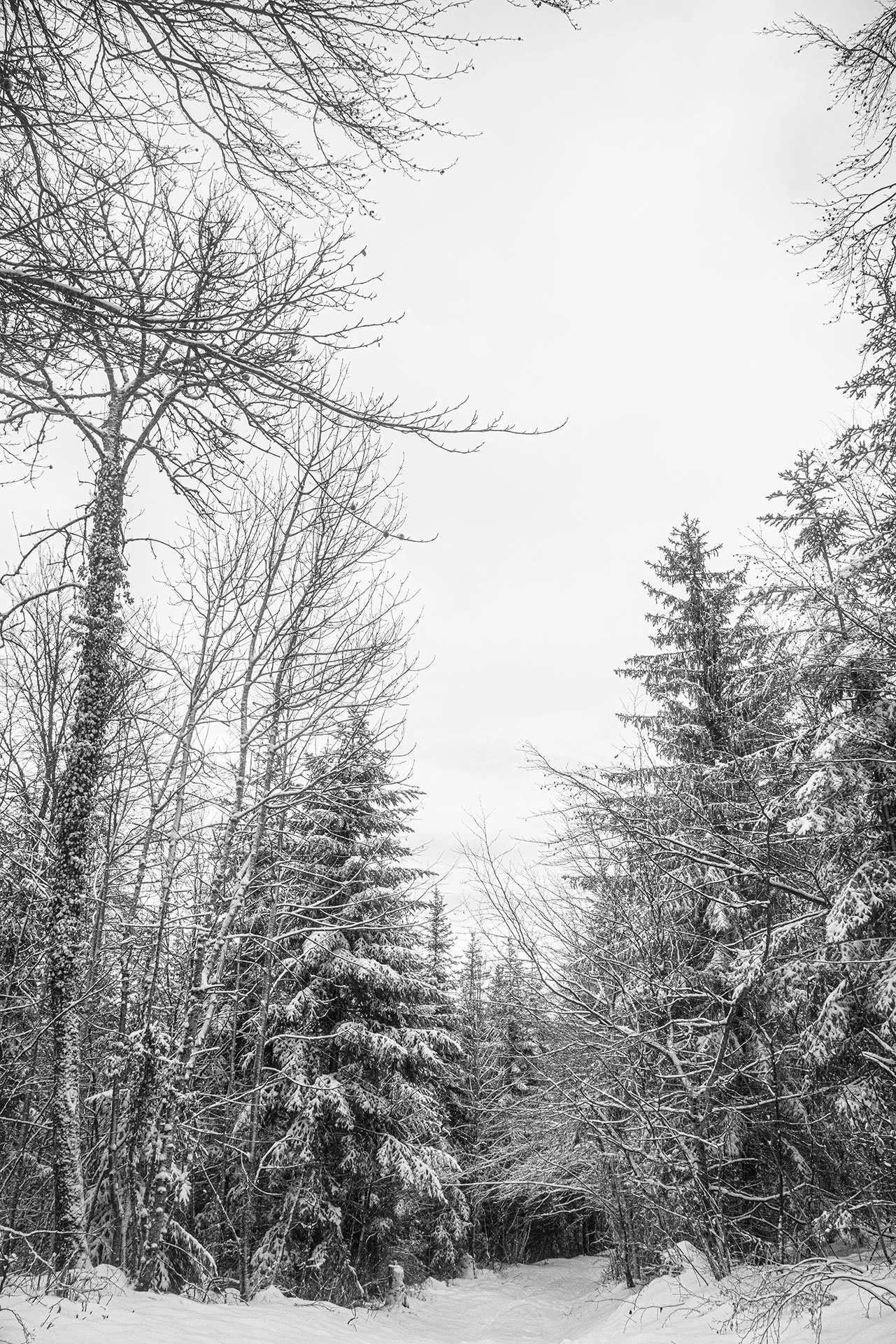 _DSC1212.jpg