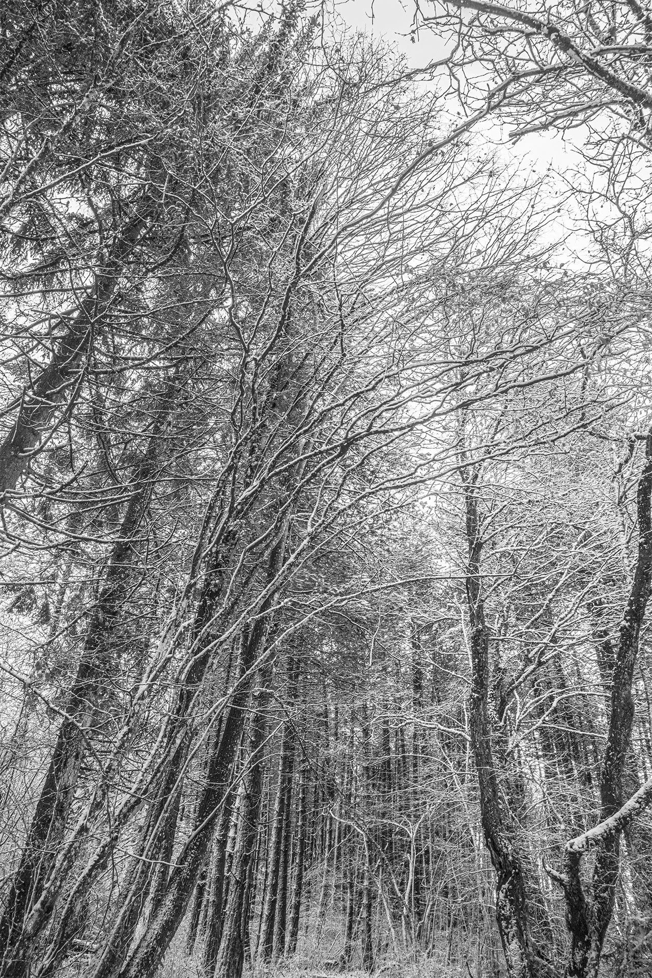 _DSC1057.jpg