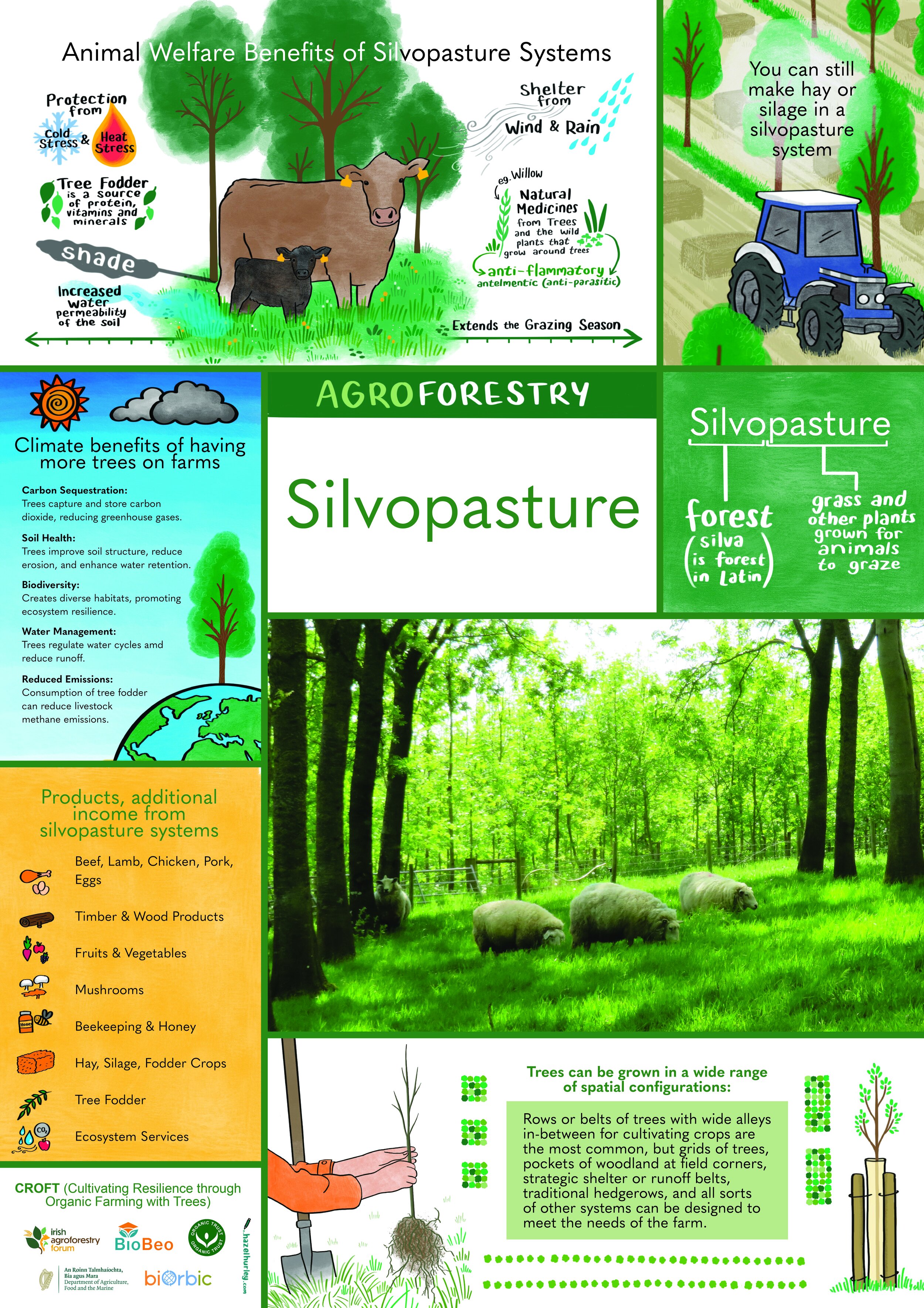Leaving Certificate Resources — Irish Agroforestry Forum