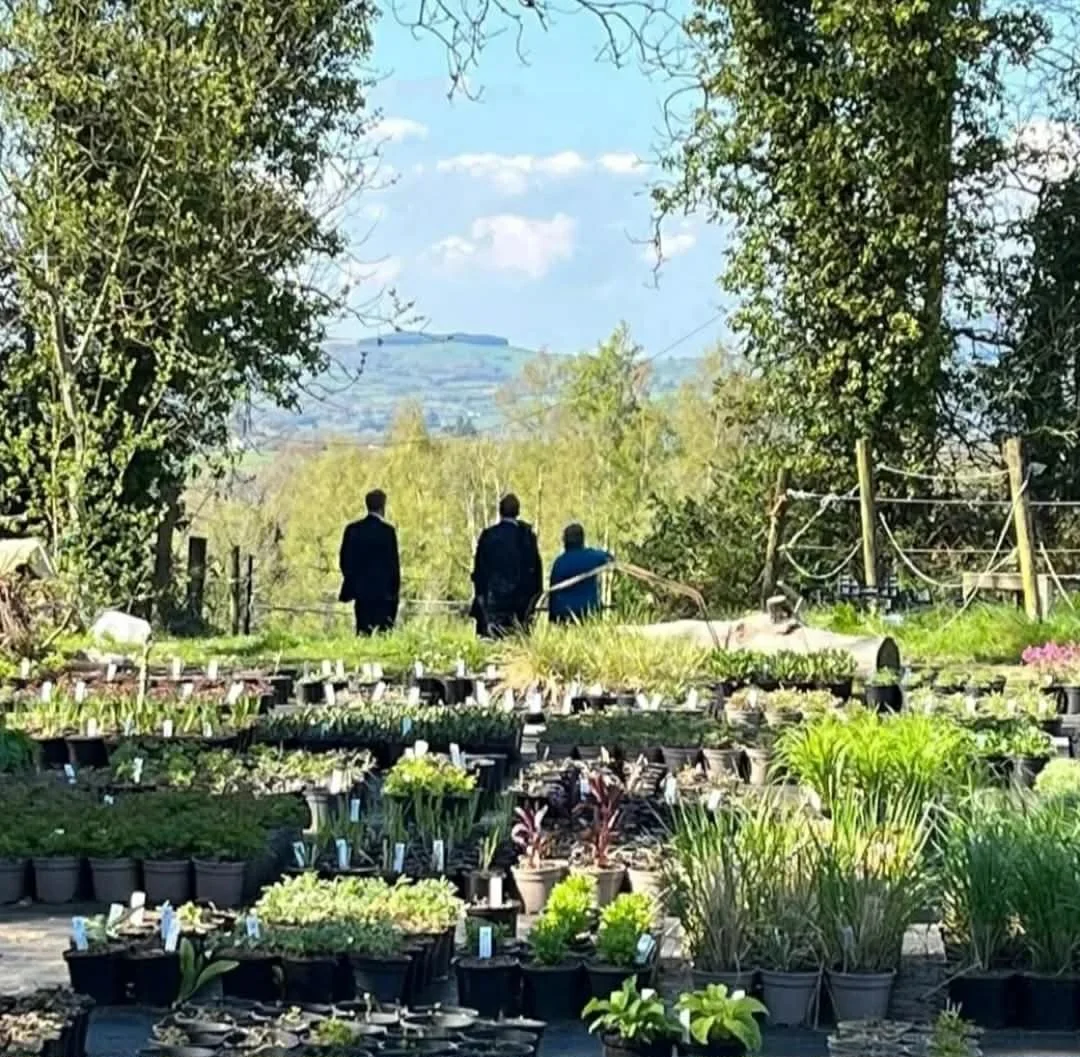 Biodiversity Walk, Caherhurley Nursery