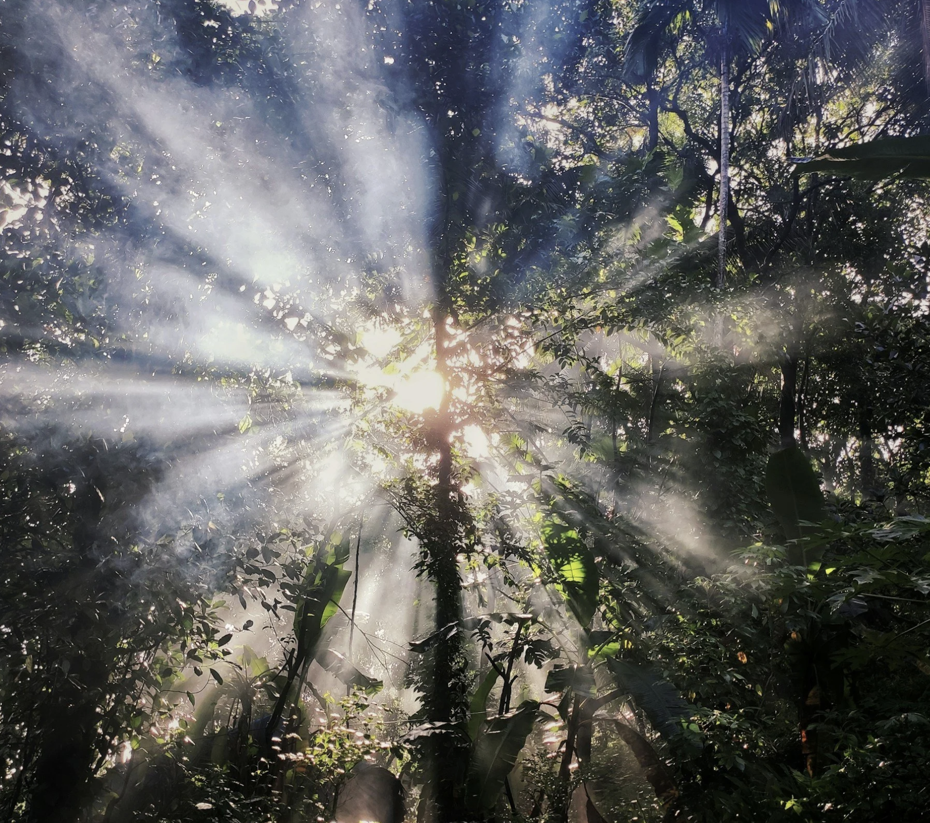 What I Didn't Know My Soul Was Carrying Into Courtship: A Personal Reflection