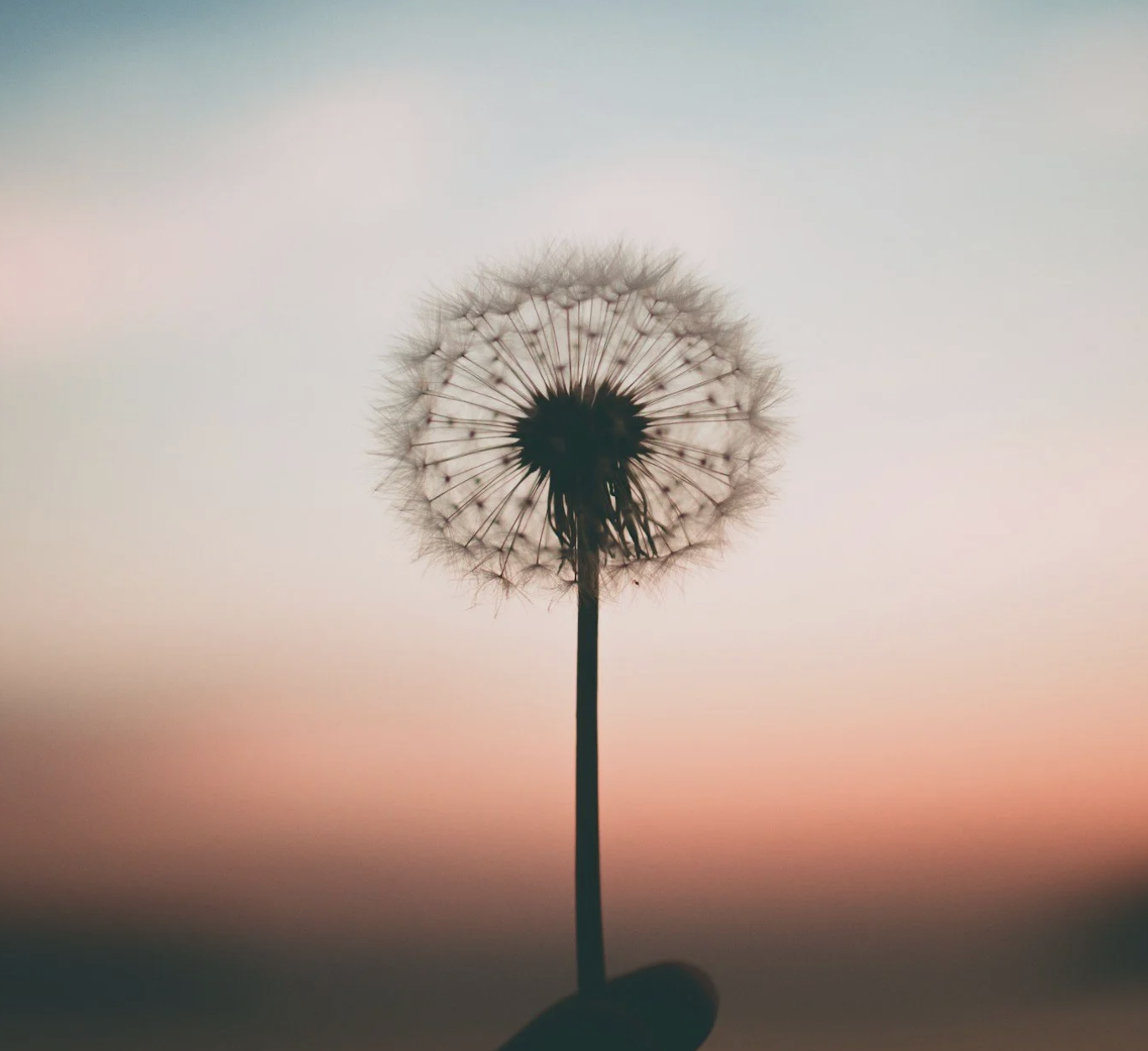 What Safeguarding Children from Sexual Abuse Actually Requires (and Why We Keep Avoiding It)