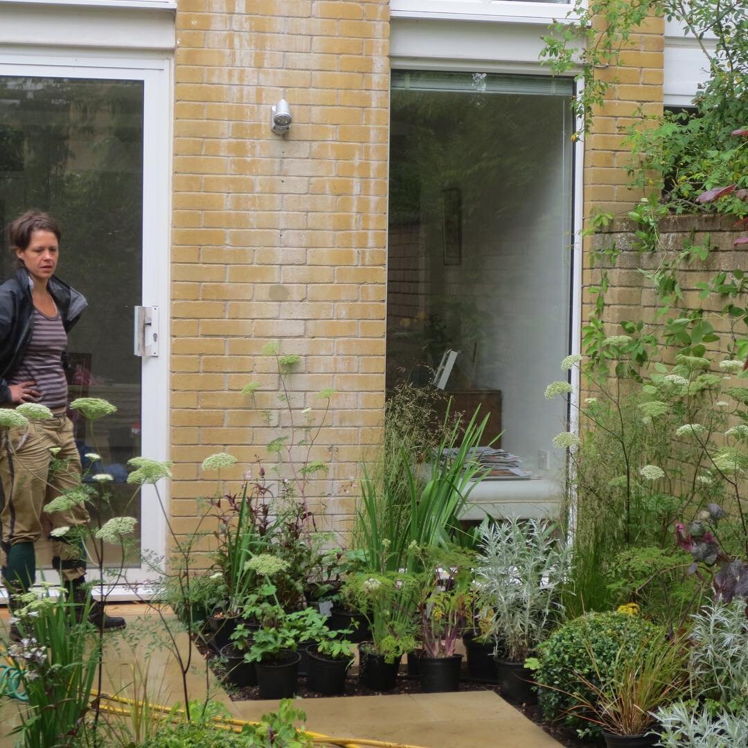 Throwback to one of the first gardens I designed and the day the plants arrived. Always one of my favourite points in the project. A very exciting day &amp; one of overwhelming concentration setting the plants out in the garden &amp; imagining the sp