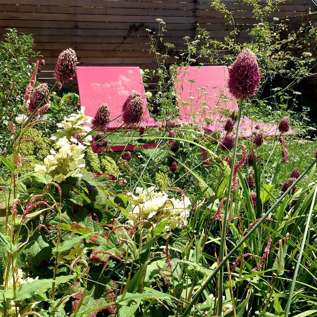 Summer planting in London, this city garden is teeming with bees &amp; butterflies. #nectarrich #boldromanticgarden #gardendesignlondon #catrionacaldwellstudio