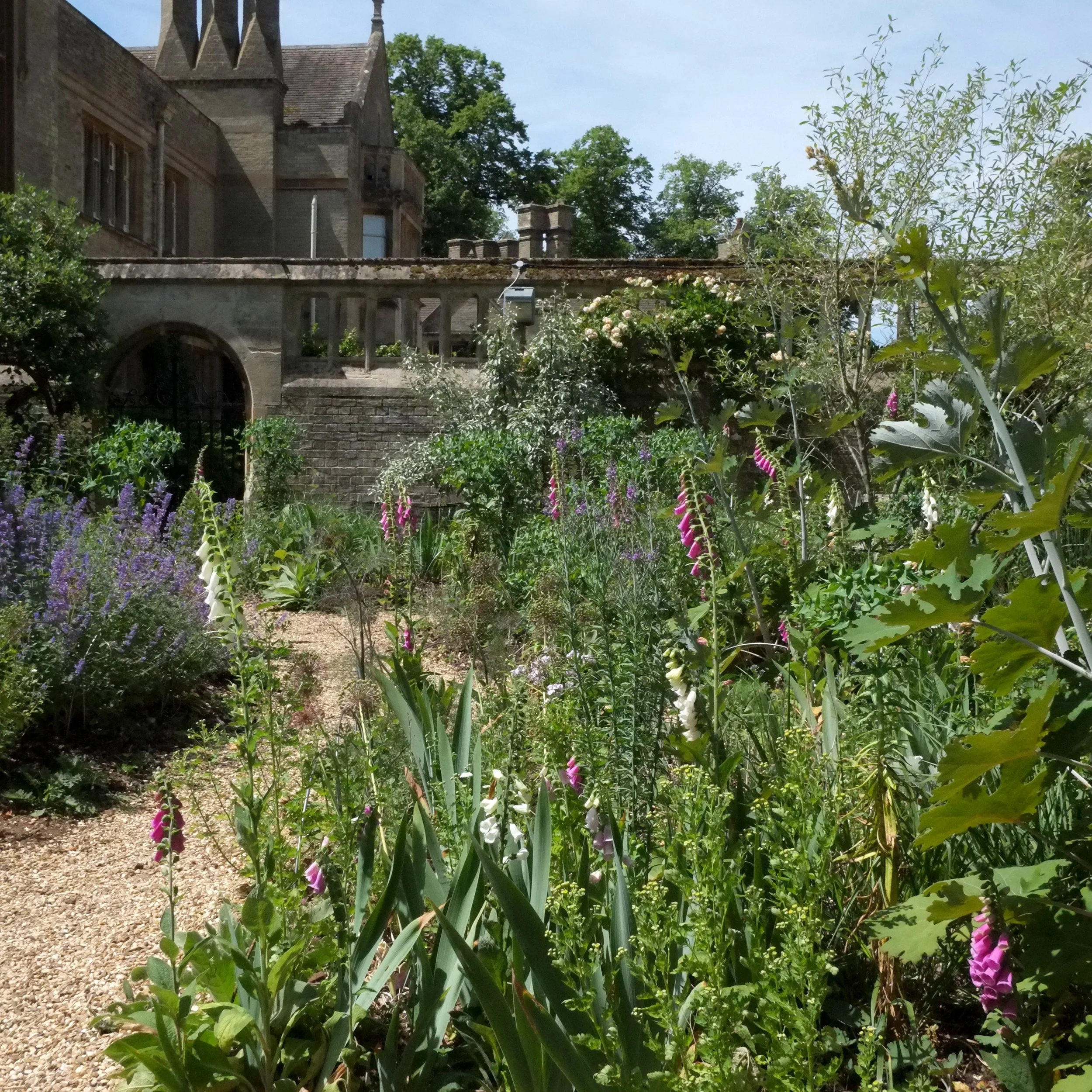A feast for the senses, a walled wildlife garden @ The Lodge, RSPB headquarters in Sandy.
The photos don&rsquo;t really do justice to the feeling of being inside the garden. The scent of the climbing roses &amp; the gentle buzz as the air moves with 