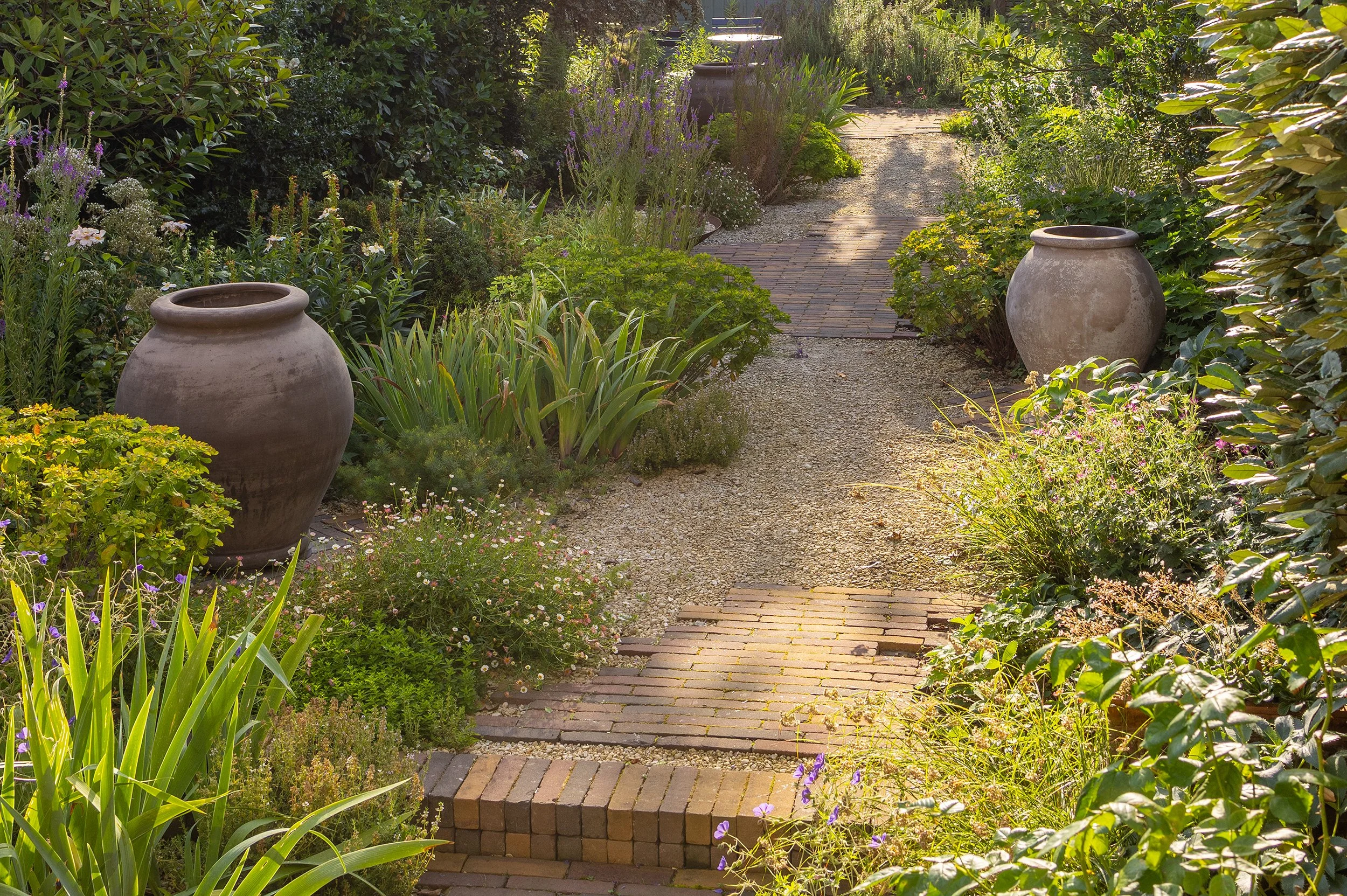 Dry Garden, Cambridge