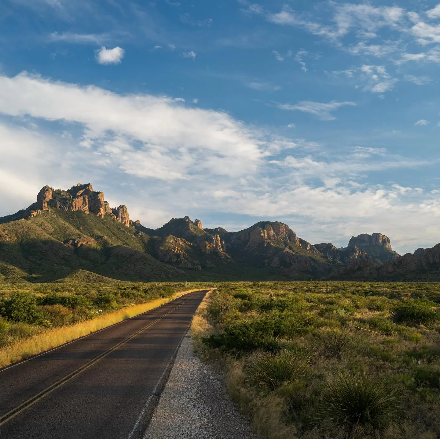 Scenes from the Big Bend - August 2025 

The rains have done wonders for the desert! The changing colors of the dirt, blooming foliage, and animals making appearances are what keep me fascinated by this place. 

#bigbendnationalpark #visitbigbend #ig