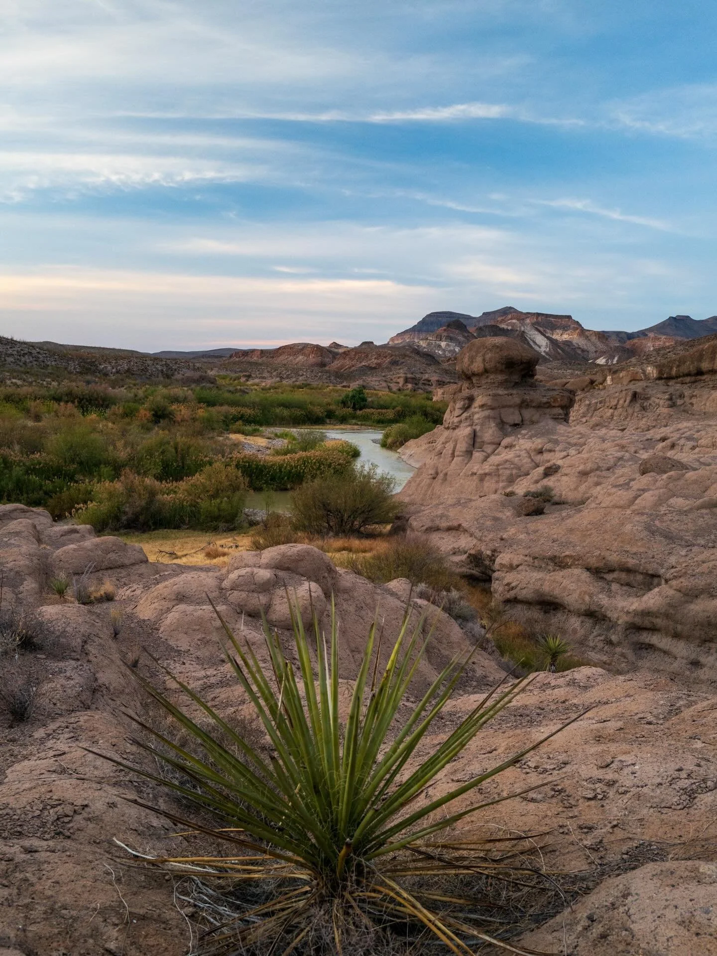 Skies cleared in time for an afternoon romp in the state park with our boy, Cooper 🤠

Been in desperate need of a slow day like today &hellip; many cups of coffee smuggled in bed, a little work, and nowhere to go any time soon ❤️&zwj;🔥

#leicaq2 #b