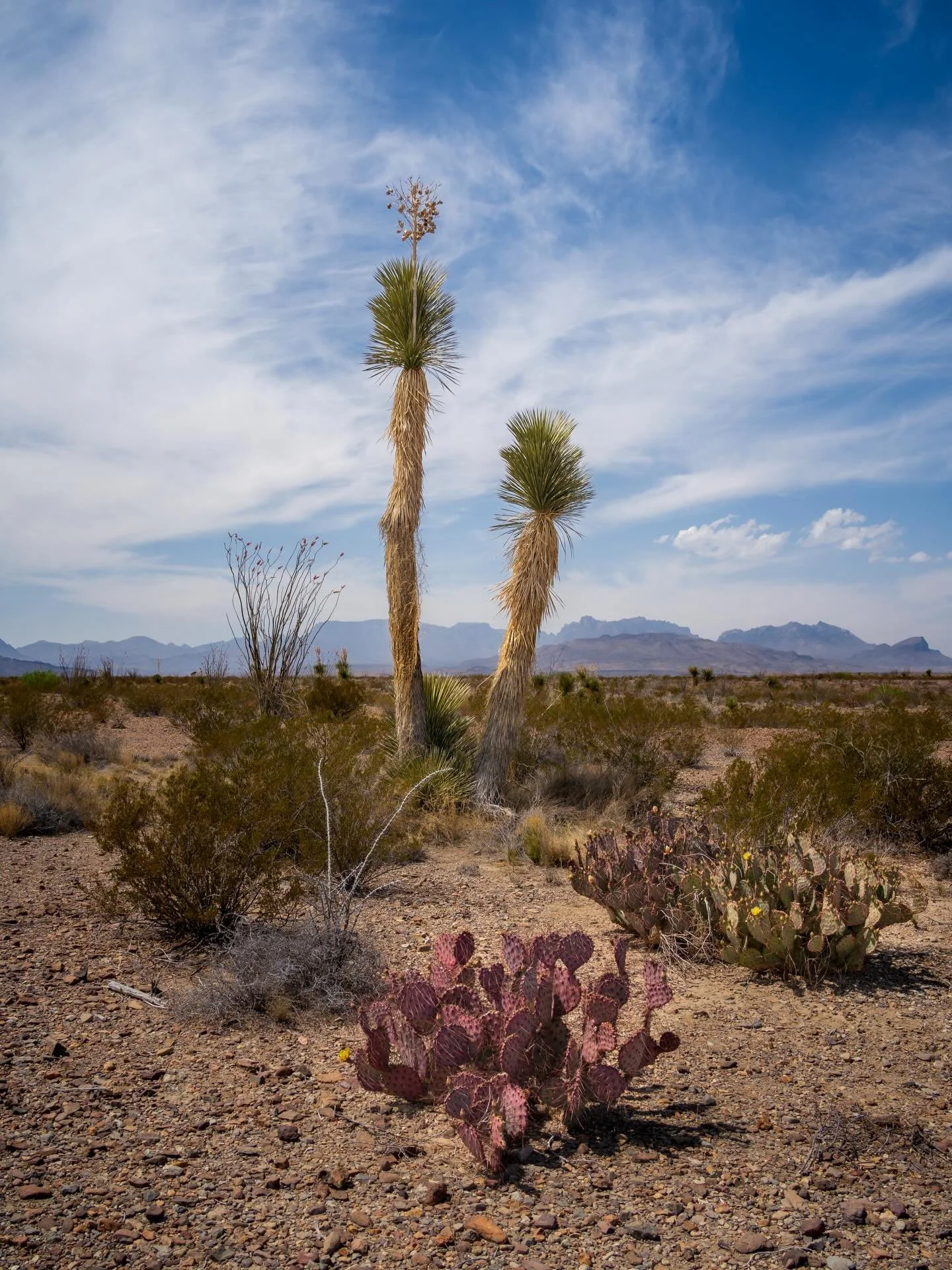 Some people dream of tropical getaways 🏝️or European vacations🍷&hellip; this is what I dream of.  What I work so hard for. This place that keeps me dreaming BIG, and in ways I never thought I could or would. This year is no different. We have so mu