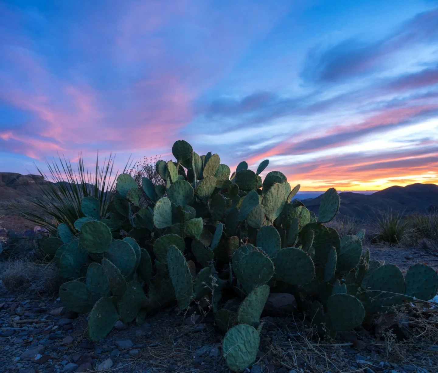 Blue hour💙 > Golden Hour 🧡

These colors weren&rsquo;t quite visible to the naked eye, but longer exposures bring out so much beautiful detail from the days last light ❤️&zwj;🔥

#bigbendnationalpark