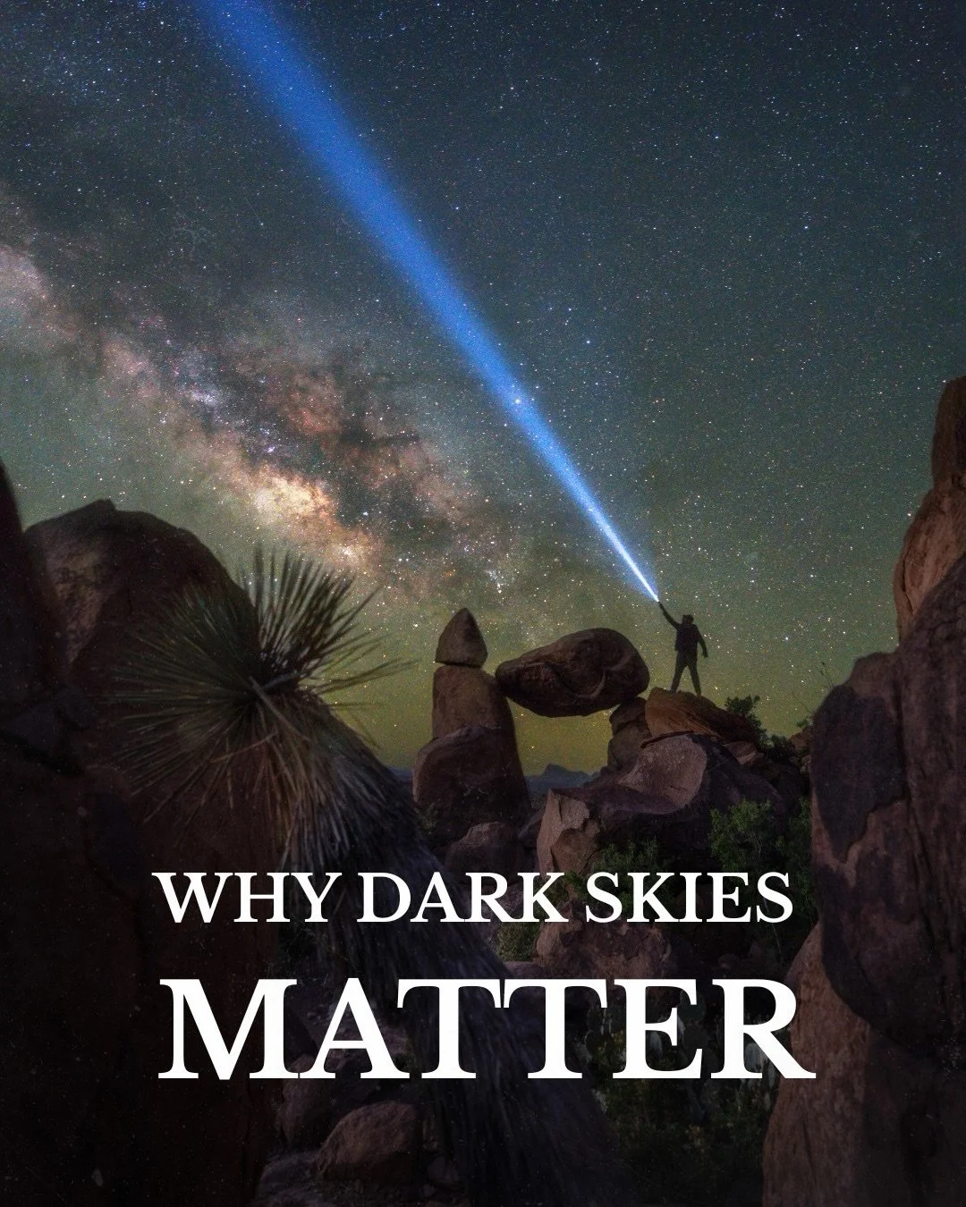Most people will never see a truly dark sky.
Not because it&rsquo;s gone&mdash;but because we&rsquo;ve lit up the night.

✨ They connect us to something bigger than ourselves
🦉 They protect wildlife that depends on natural darkness
🧠 They help regu