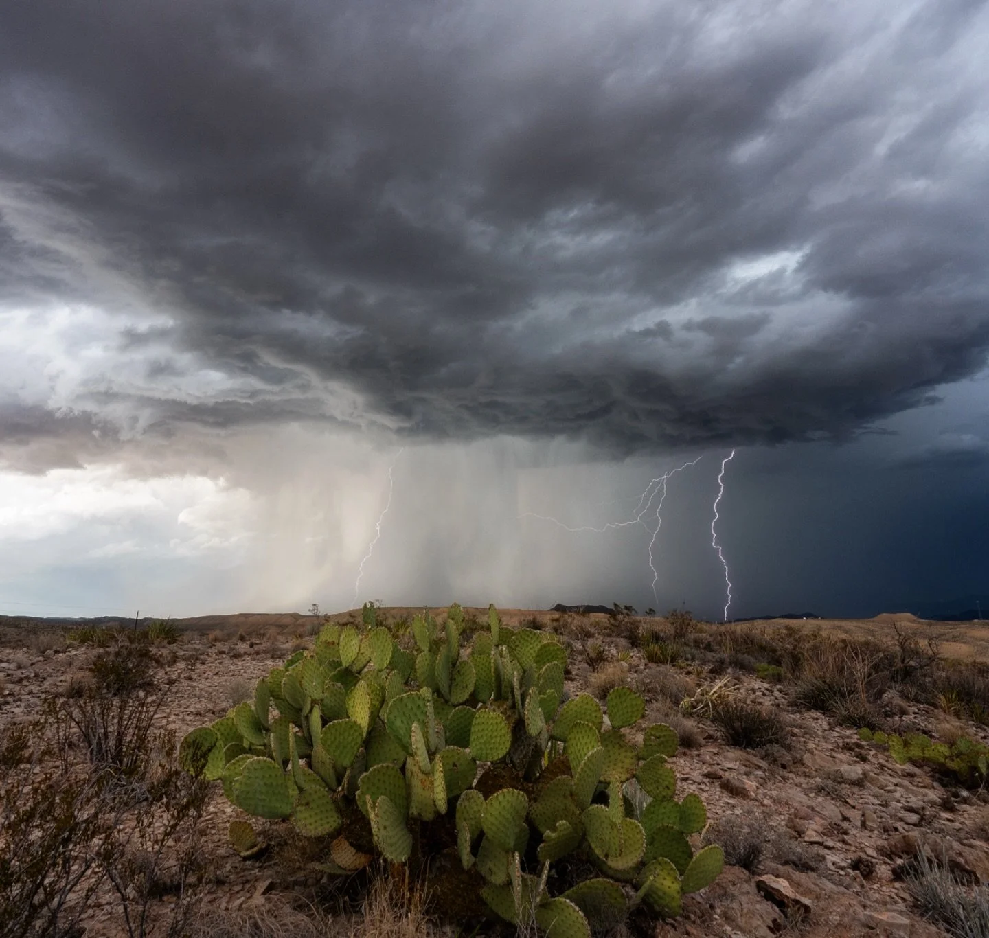 Came for Astro, have gotten much needed rain and storms instead 🙏🏼⛈️
#bigbendnationalpark #storm