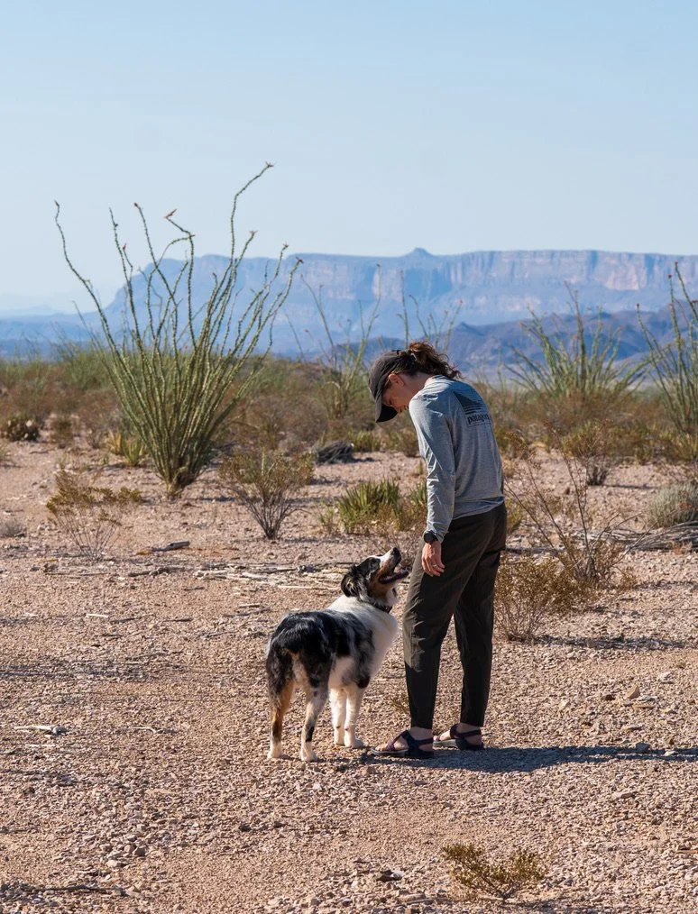 A woman in a hat and sunglasses stands in a desert, looking down at an Australian shepherd dog as it gazes up at her. The desert landscape includes sparse vegetation and distant mountains under a clear blue sky.