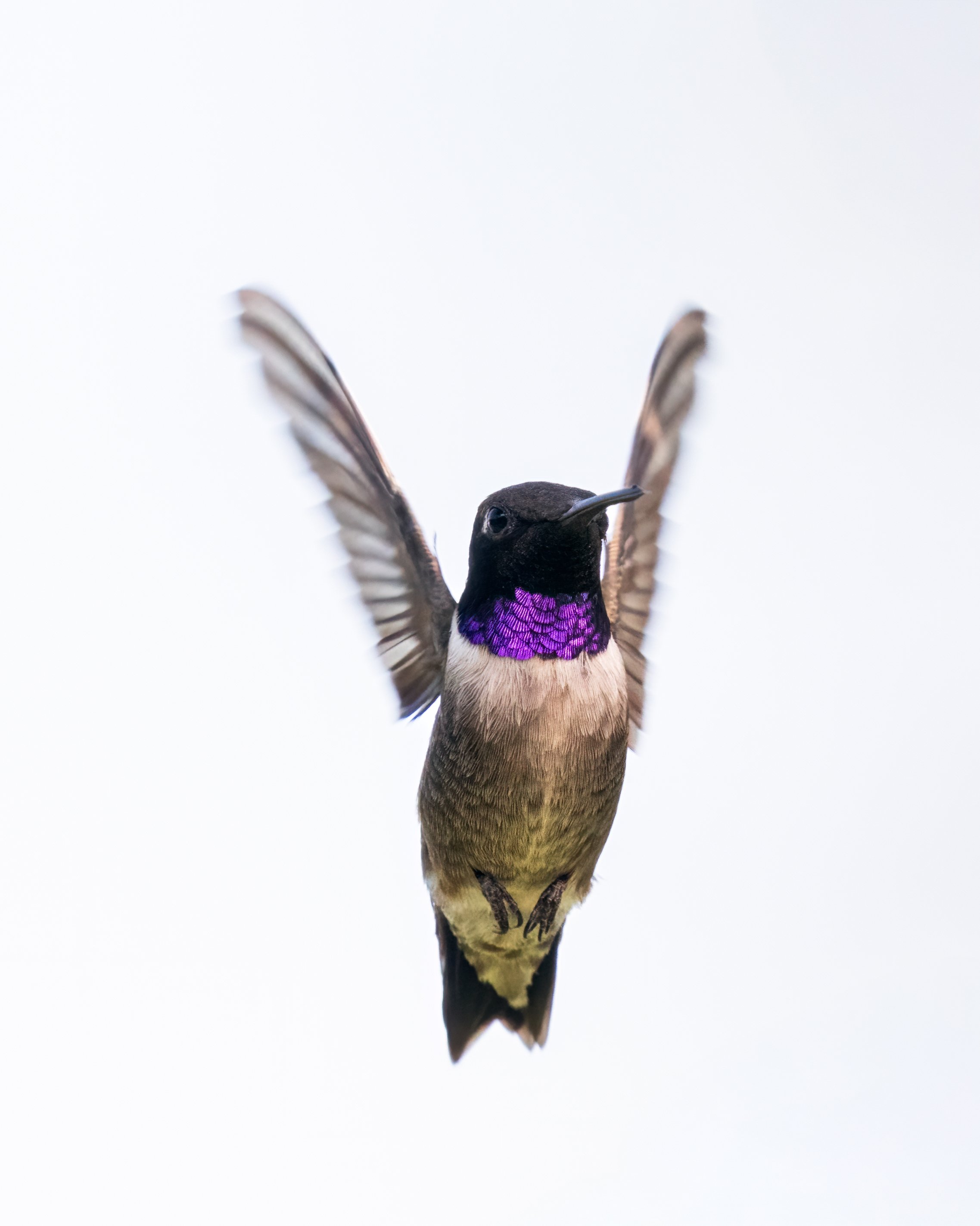 DSC05438-Edit-Edit.jpg