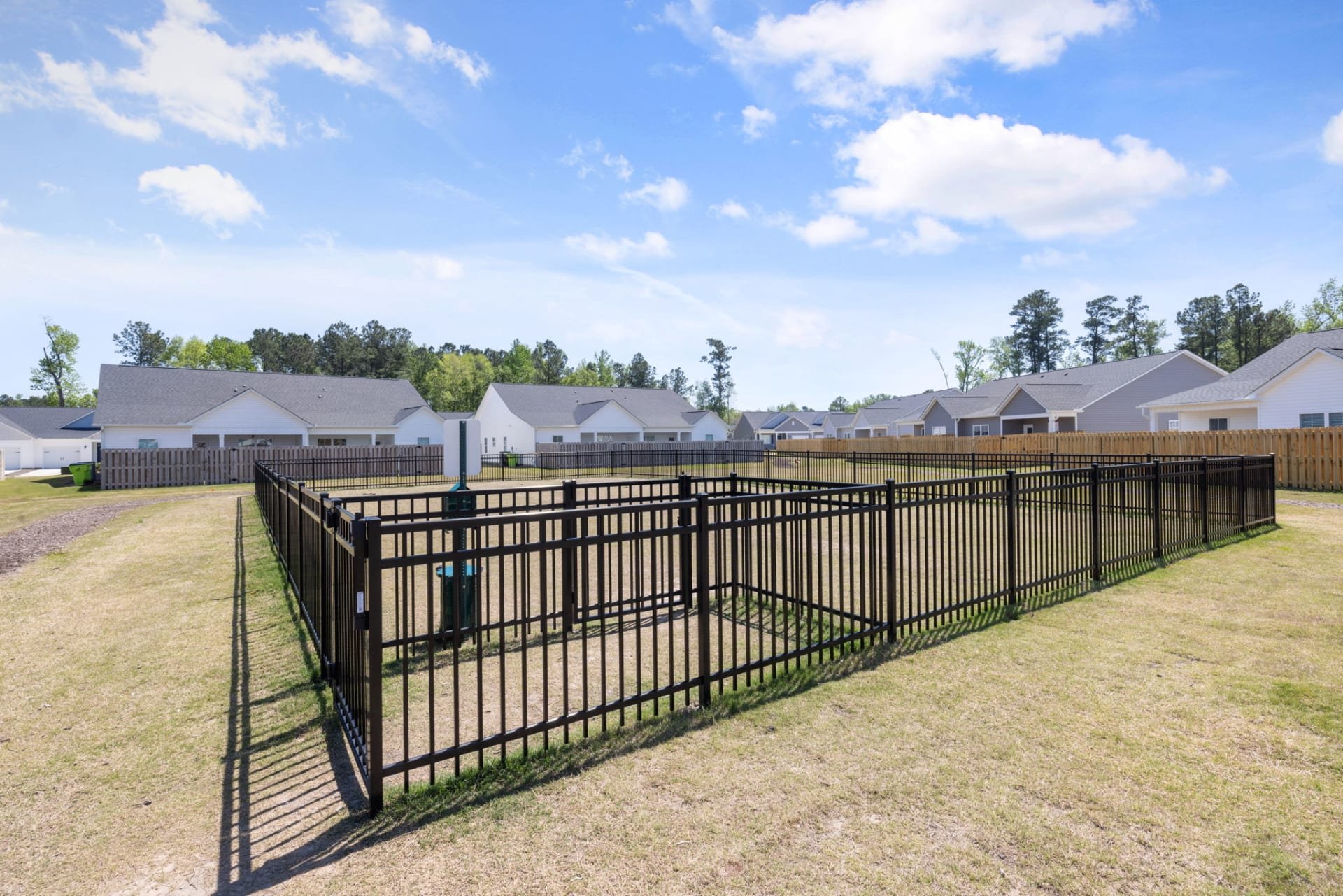 bark park.jpg