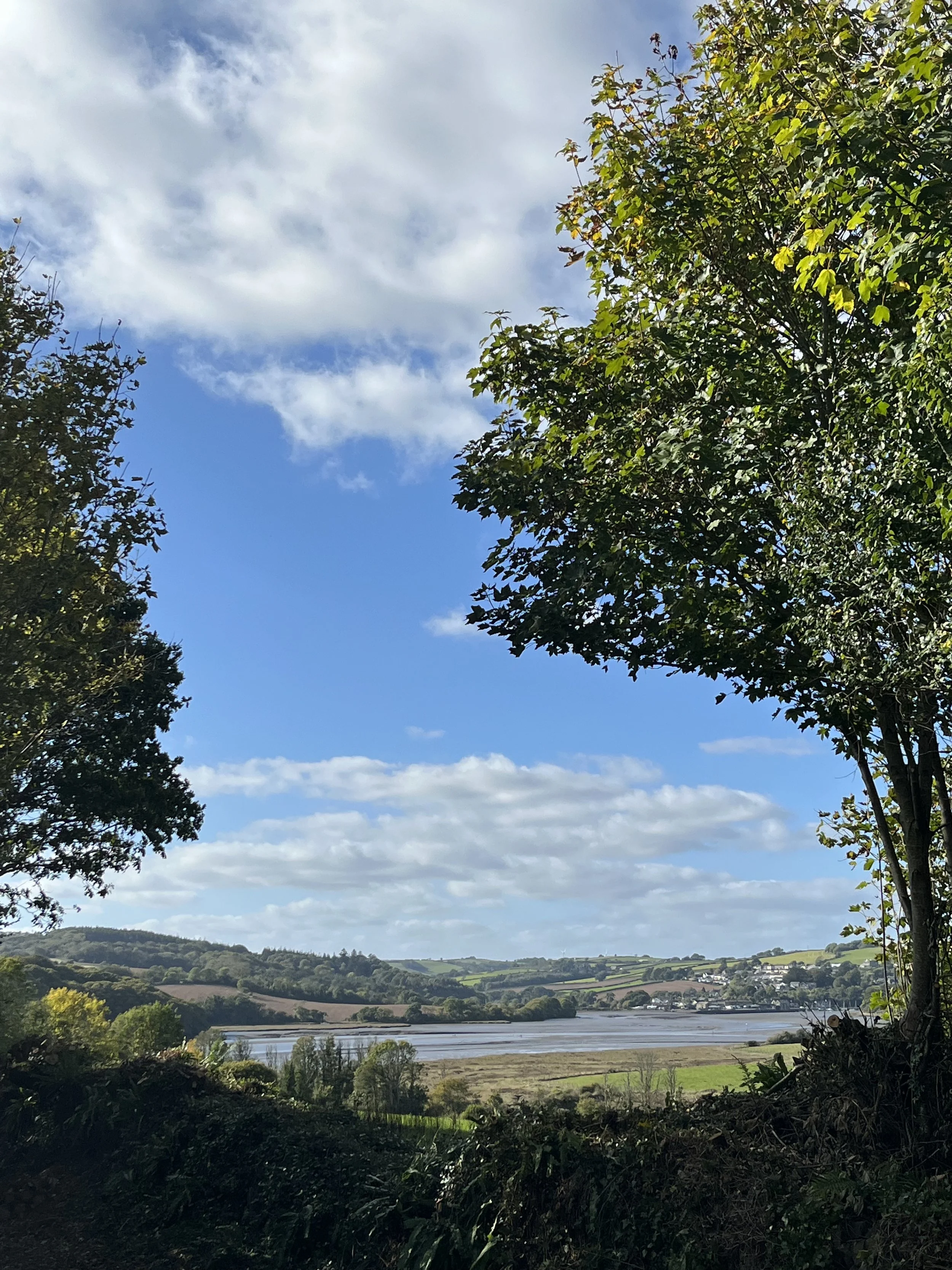 Erth - St Germans View.jpeg