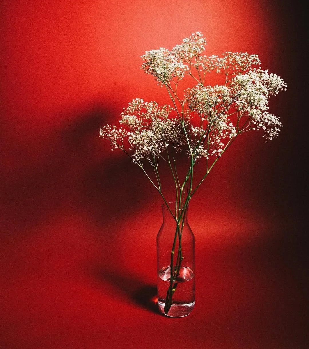 Summer lights ✨.jpg