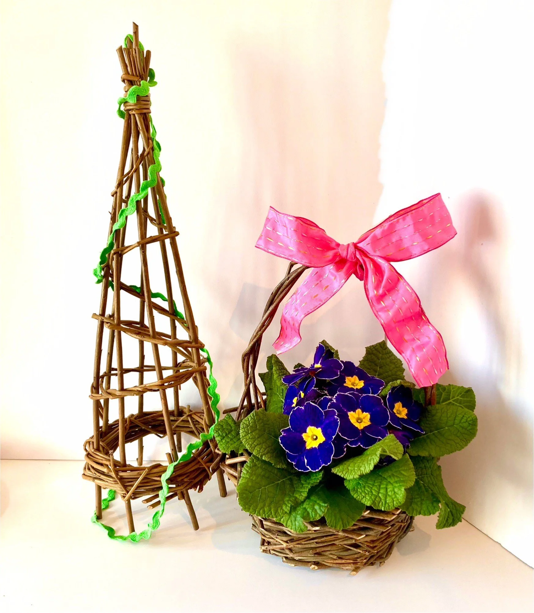 Willow for the garden