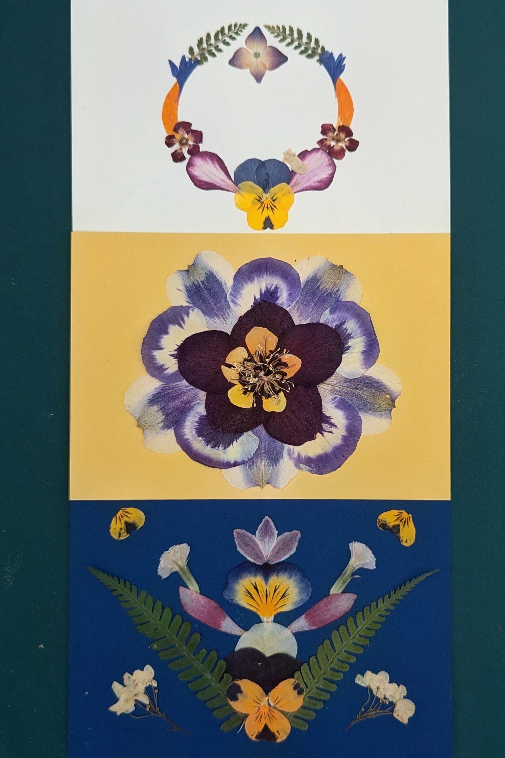 Create a Trio of Pressed-Flower Notecards