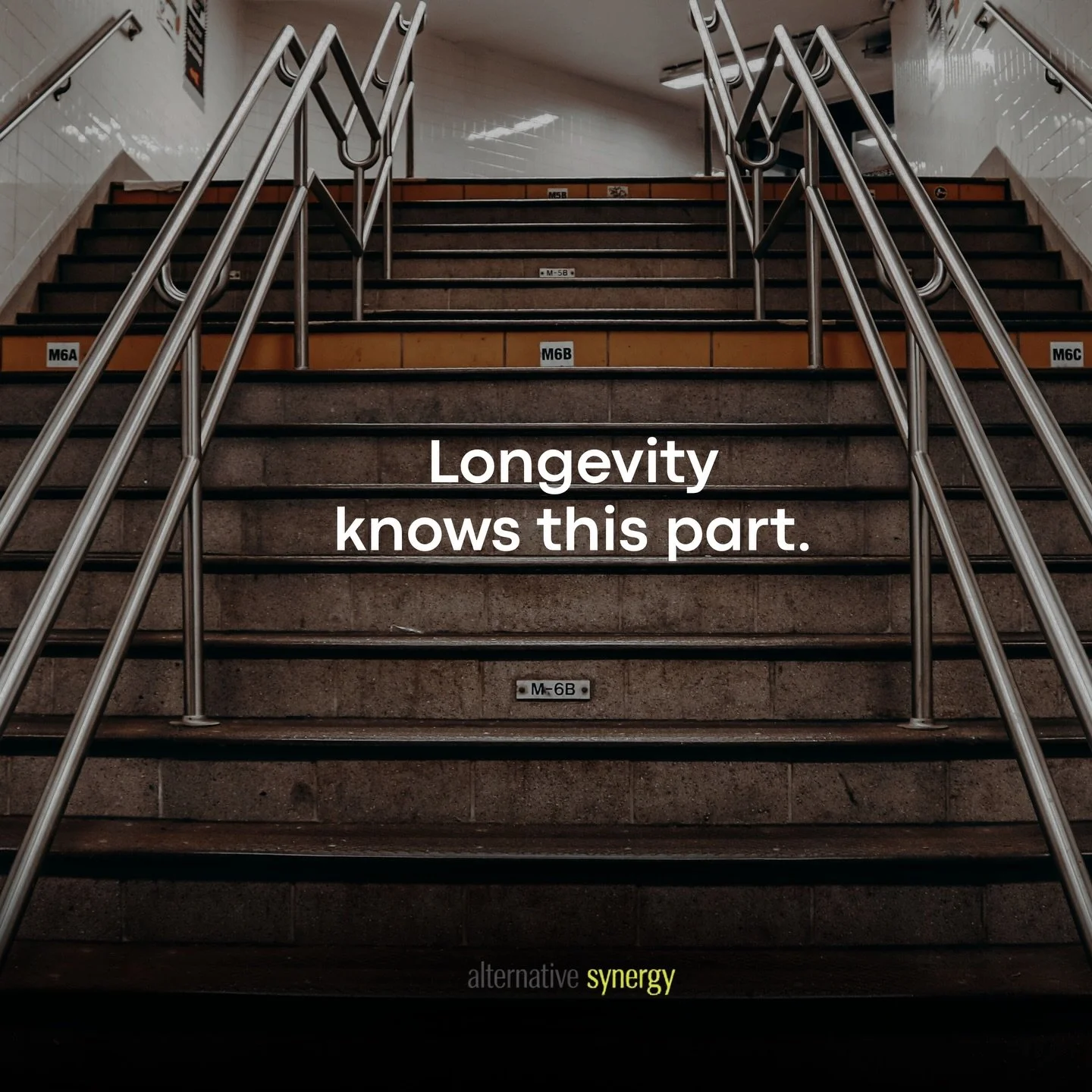 Longevity isn&rsquo;t loud. 
It&rsquo;s the part no one talks about. 
The stairs before the stage.
The work that keeps you ready

#creativelongevity
#artistlife