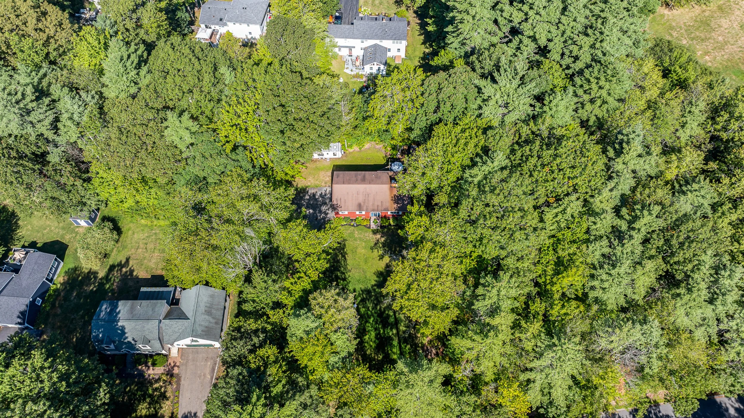 40_dji_20250906032900_0164_d1.jpg
