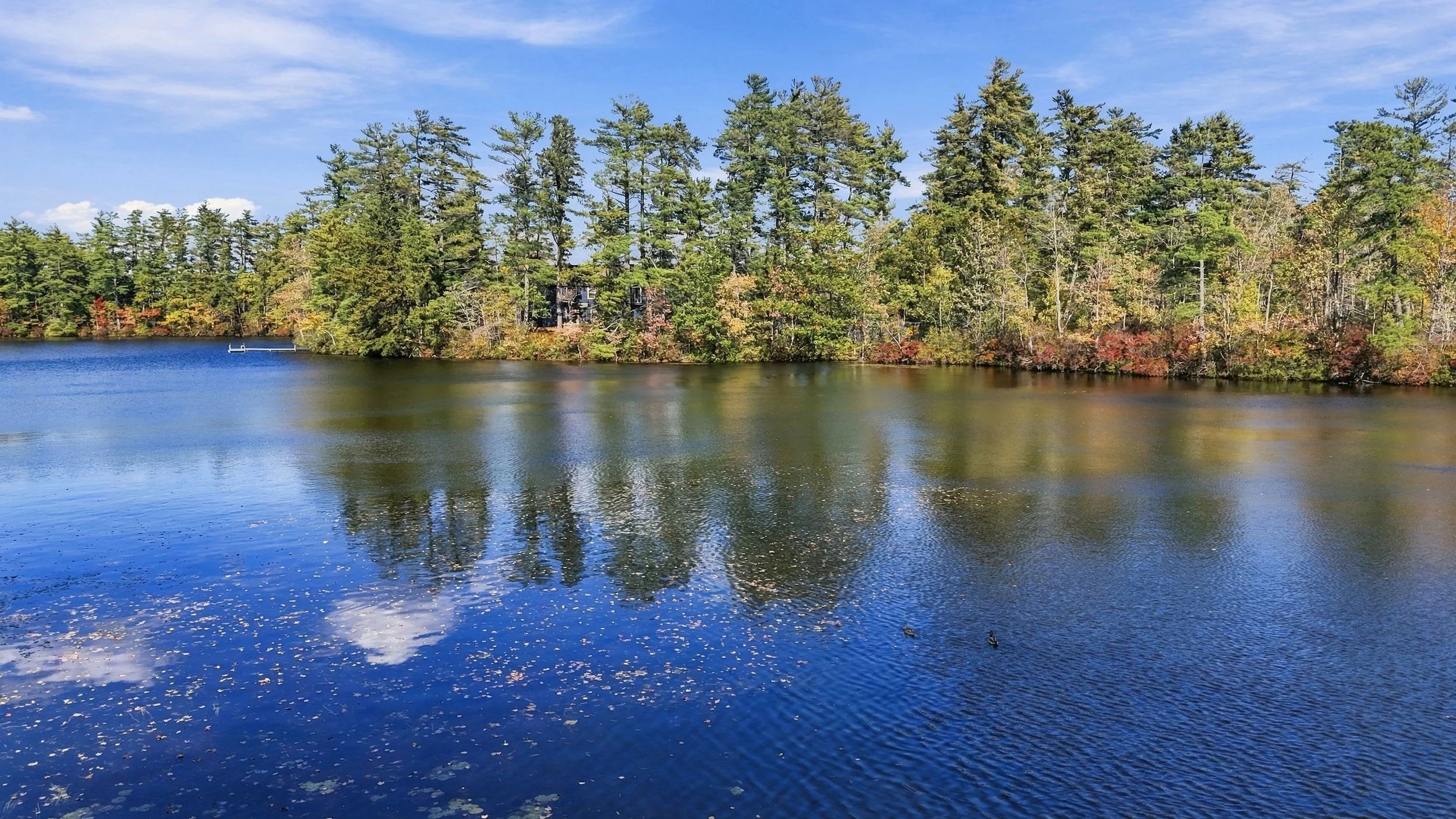 11_dji_20261009022606_0231_d.jpg