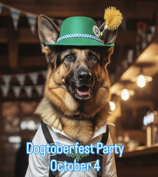 Dogtoberfest Party at Snouts & Stouts