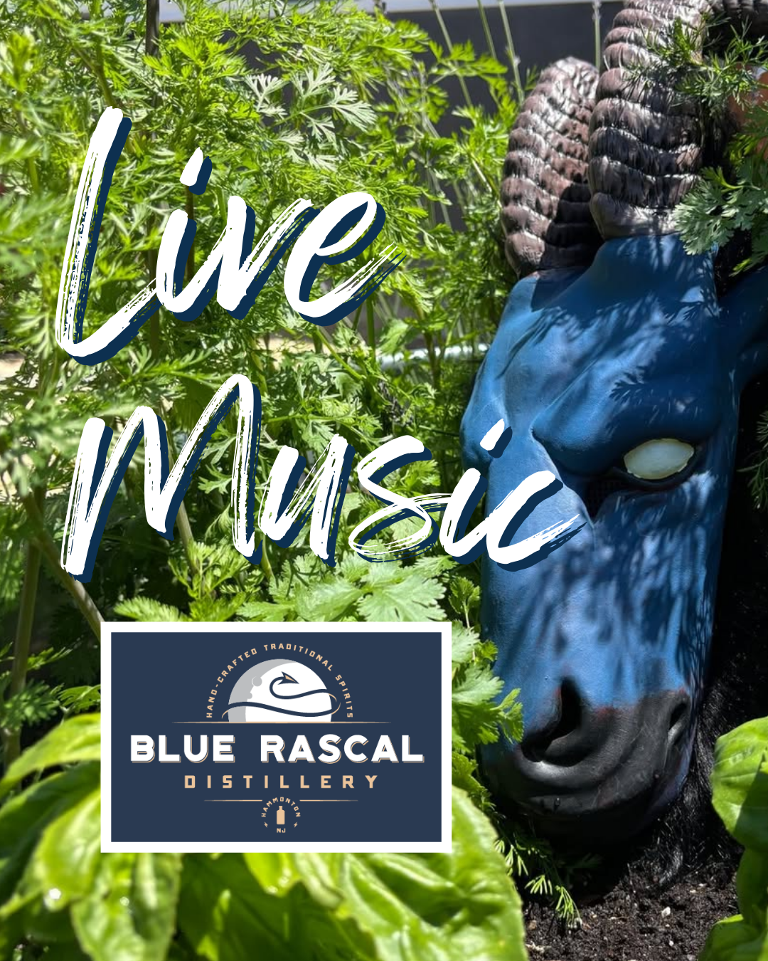 Live Music at Blue Rascal Distillery 