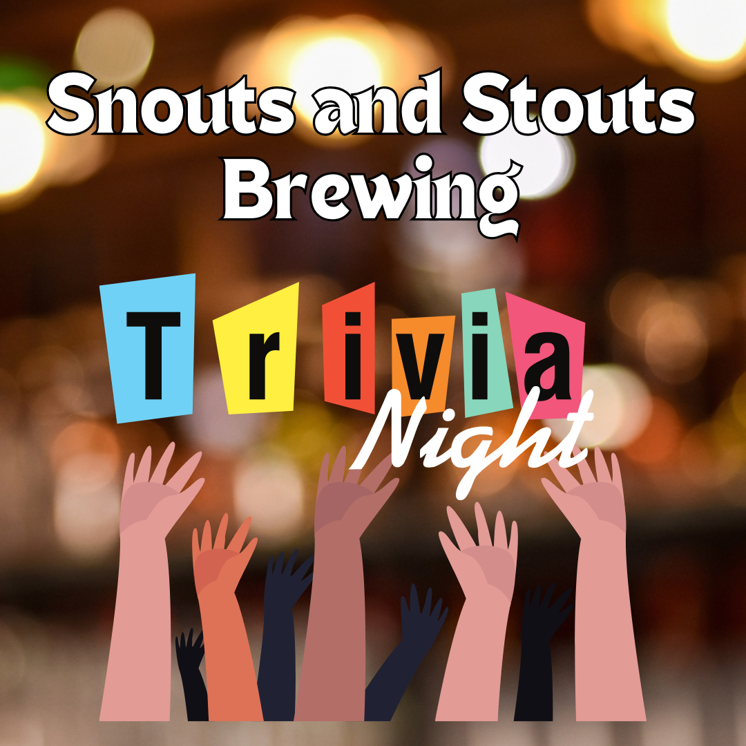 Trivial Things with Tony Romeo at Snouts & Stouts Brewing