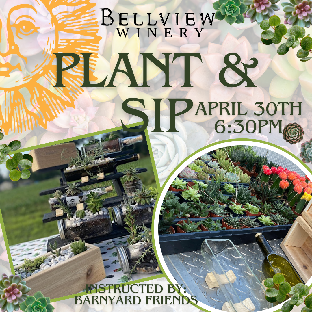 Plant & Sip at Bellview Winery