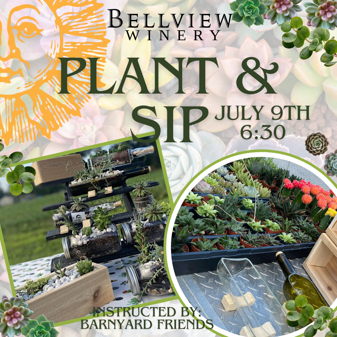 Plant & Sip at Bellview Winery