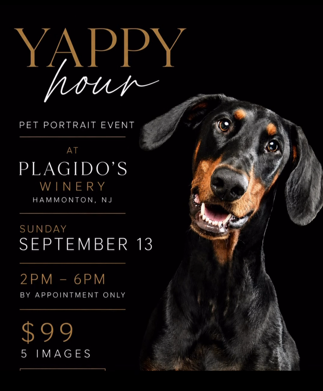 Yappy Hour Pet Portrait Event at Plagido's Winery