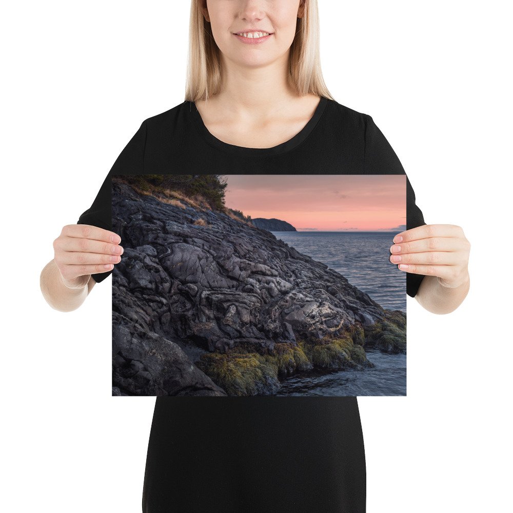 enhanced-matte-paper-poster-(in)-12x16-person-66c1f5ff1b012.jpg
