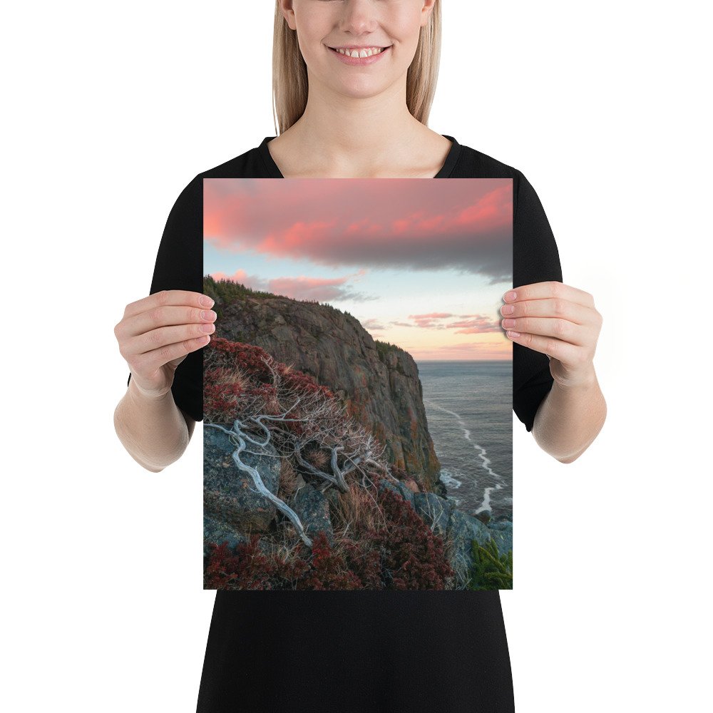 enhanced-matte-paper-poster-(in)-12x16-person-66c20bd3b2b8a.jpg