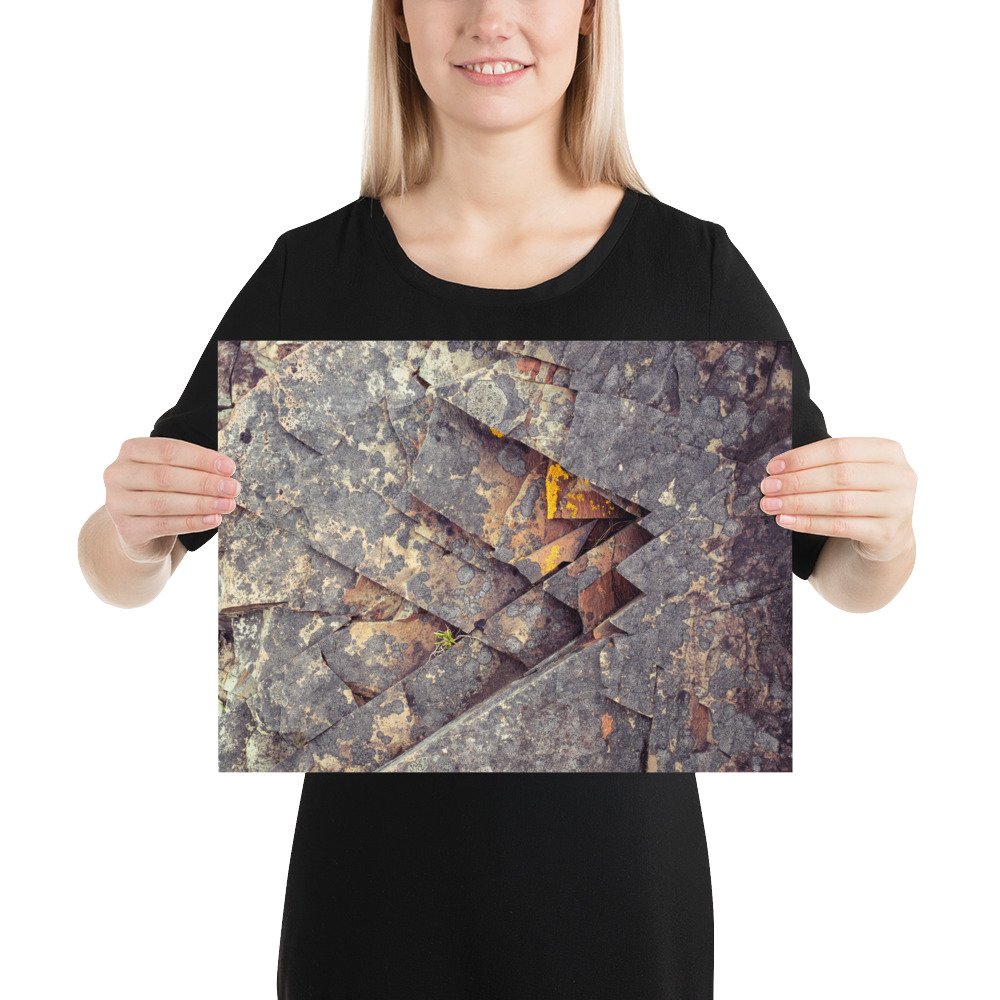 enhanced-matte-paper-poster-(in)-12x16-person-66c50b0b98caa.jpg
