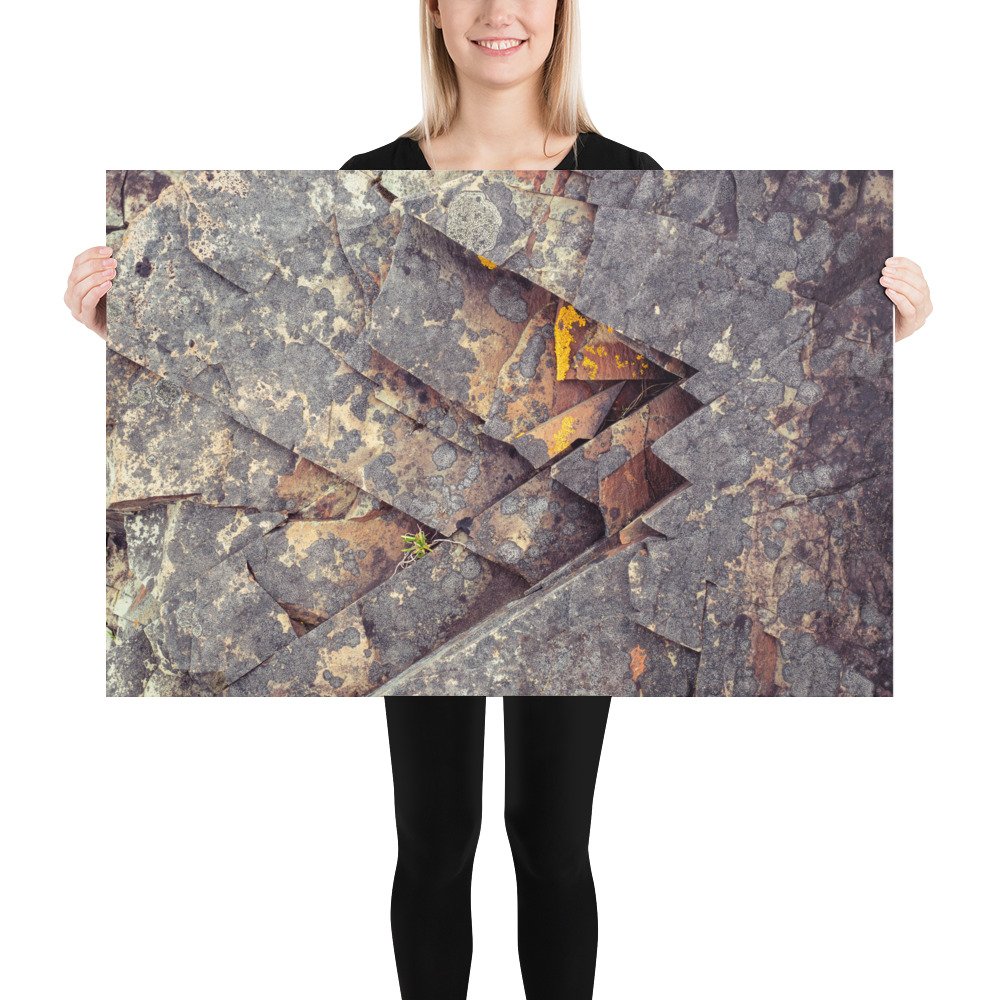 enhanced-matte-paper-poster-(in)-24x36-person-66c50b0b98edf.jpg