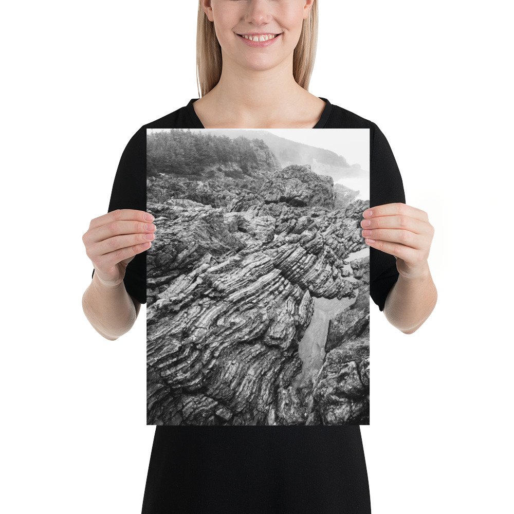 enhanced-matte-paper-poster-(in)-12x16-person-66c50cab4b3ce.jpg