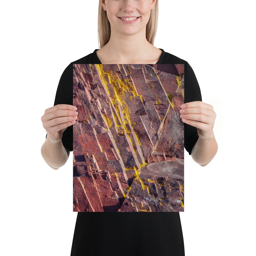 enhanced-matte-paper-poster-(in)-12x16-person-66c9262b22752.jpg
