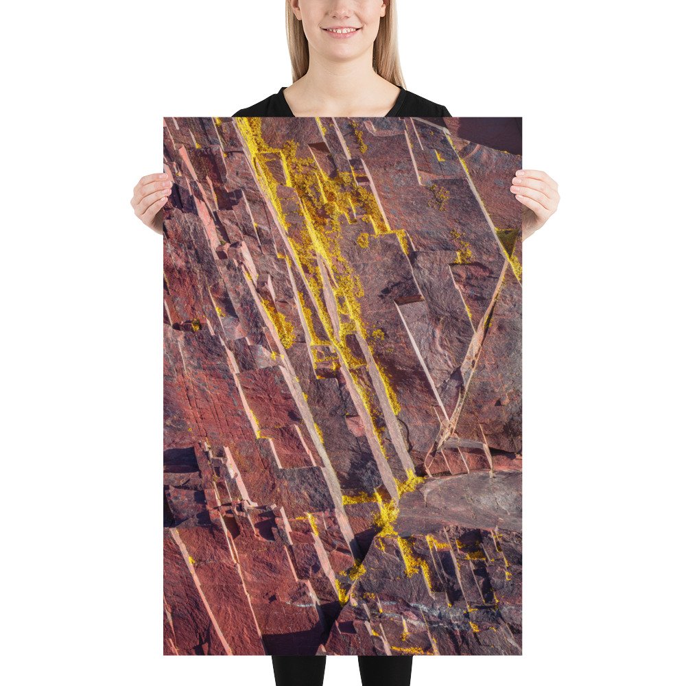 enhanced-matte-paper-poster-(in)-24x36-person-66c9262b228ab.jpg