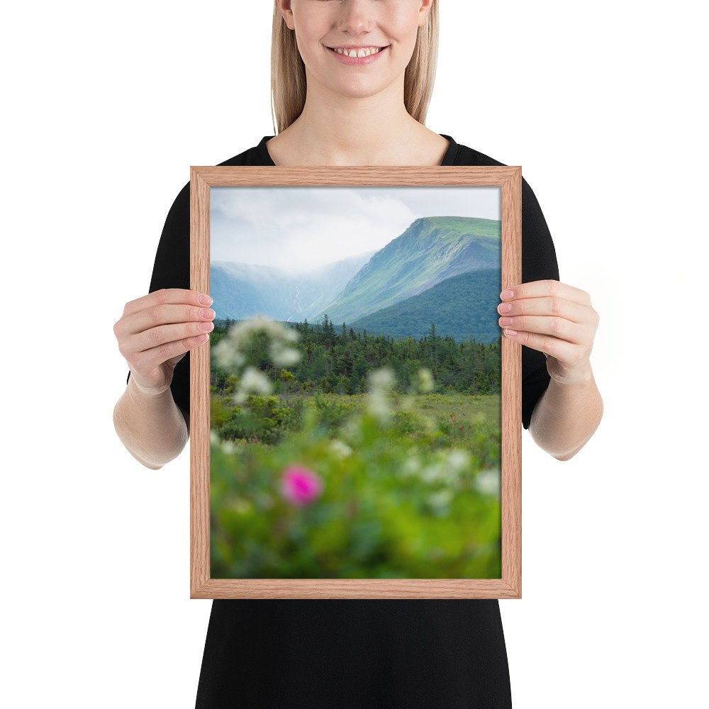 enhanced-matte-paper-framed-poster-(in)-red-oak-12x16-person-66de21ac164ae.jpg
