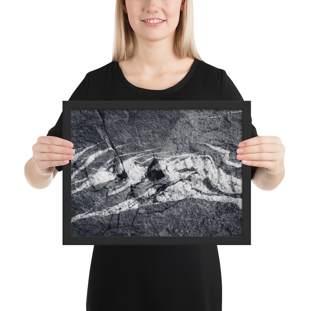 enhanced-matte-paper-framed-poster-(in)-black-12x16-person-66eaf9b087972.jpg