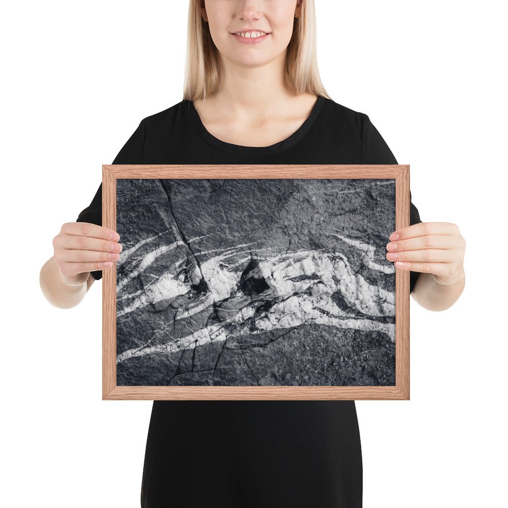 enhanced-matte-paper-framed-poster-(in)-red-oak-12x16-person-66eaf9b087b97.jpg
