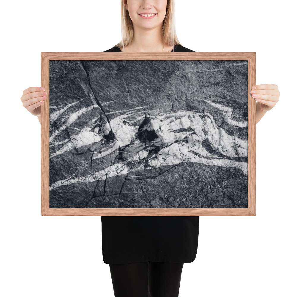 enhanced-matte-paper-framed-poster-(in)-red-oak-18x24-person-66eaf9b087ca6.jpg