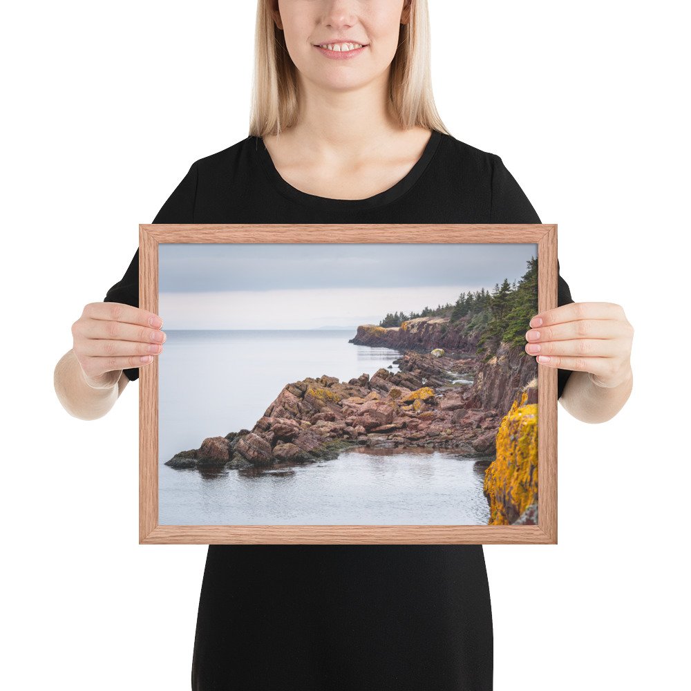 enhanced-matte-paper-framed-poster-(in)-red-oak-12x16-person-66eafbcf11159.jpg