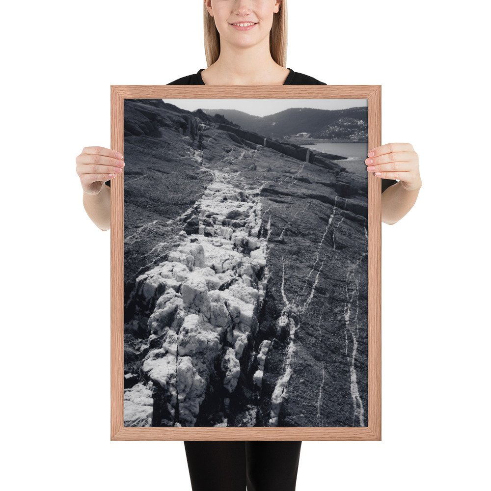 enhanced-matte-paper-framed-poster-(in)-red-oak-18x24-person-66ef308aac58b.jpg